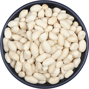 Blanched Peanuts